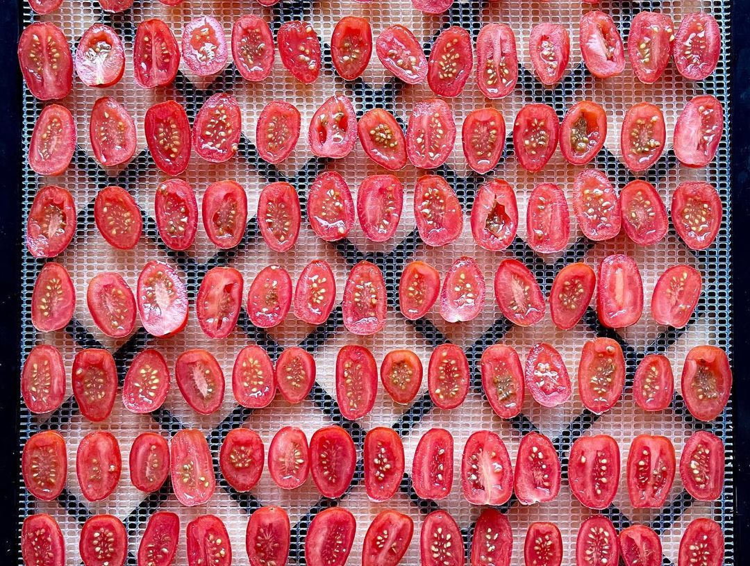 ExcaliburDehydrators tweet media