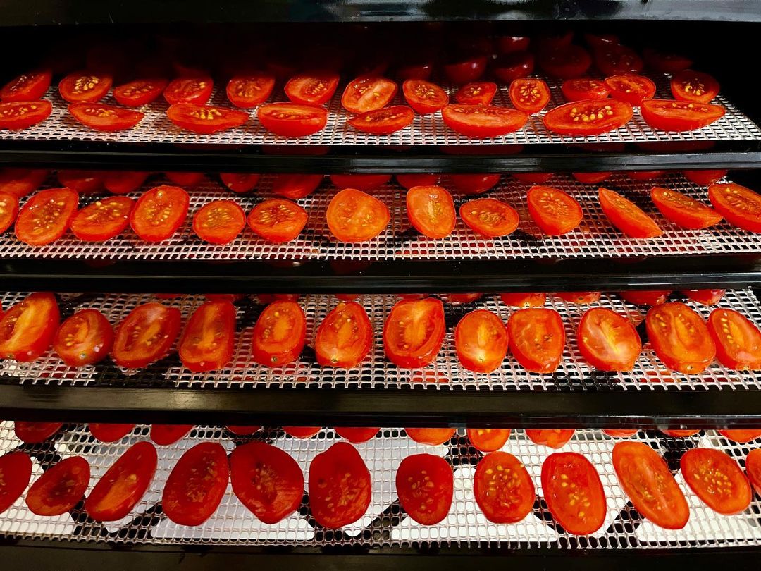 ExcaliburDehydrators tweet media