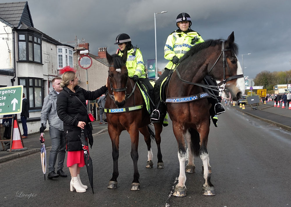 liverpix's tweet photo. Police horses outside Aintree on Friday. @MerPolMounted #LIVERPOOL #AintreeFestival https://t.co/qMcFSTiijh
