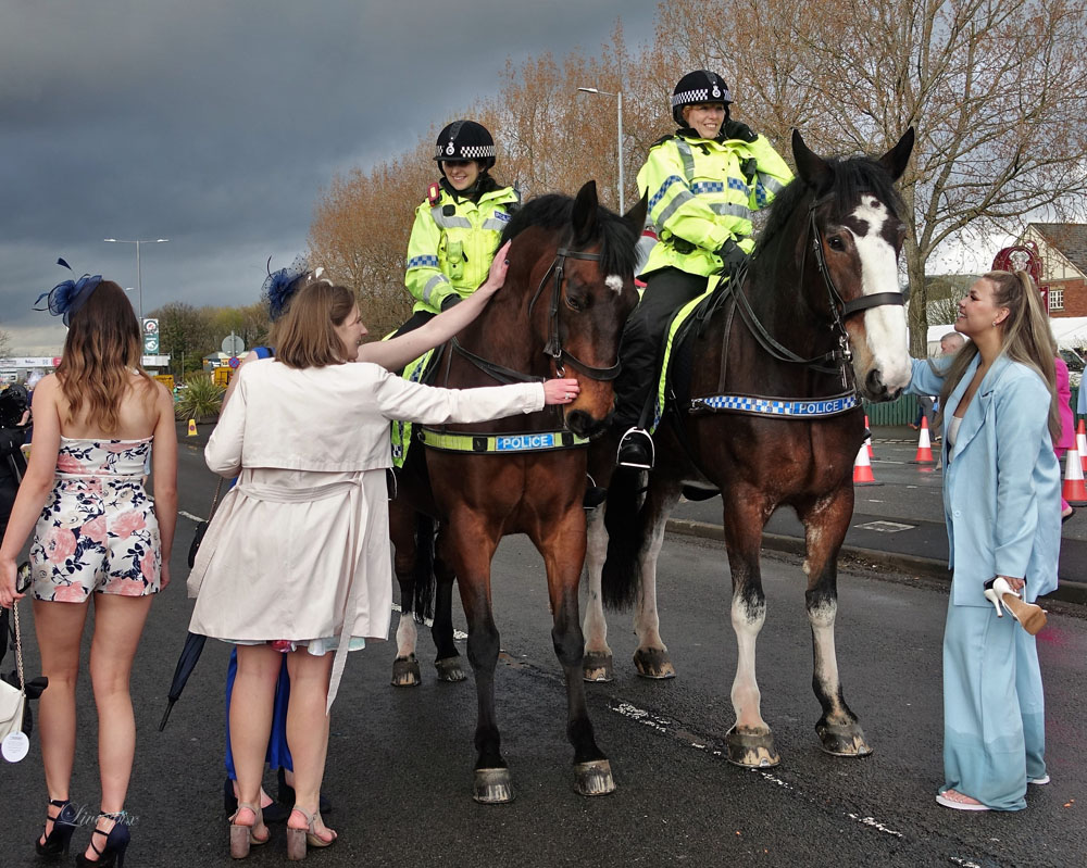 liverpix's tweet photo. Police horses outside Aintree on Friday. @MerPolMounted #LIVERPOOL #AintreeFestival https://t.co/qMcFSTiijh