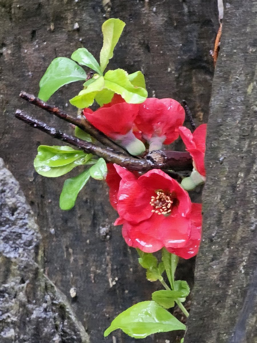 Believe (@chimae_all) on Twitter photo 