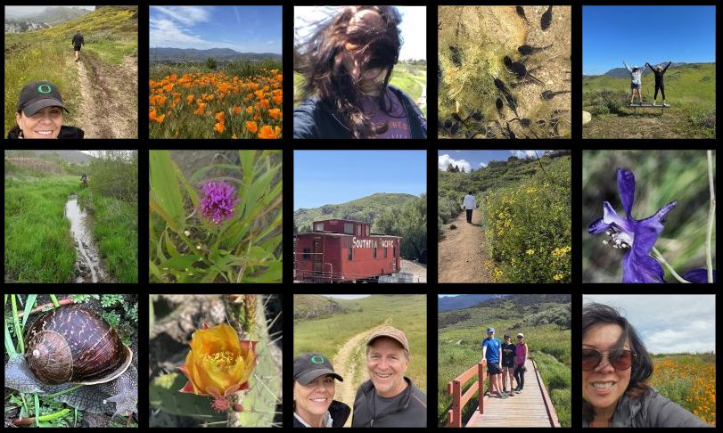Photos from Conejo Open Space Challenge participants - the things they saw!. Here's the second gallery of photos from people hiking and riding our local trails to complete the 2023 Conejo Open Space Challenge. #coschallenge

cosf.org/news/photos-fr…