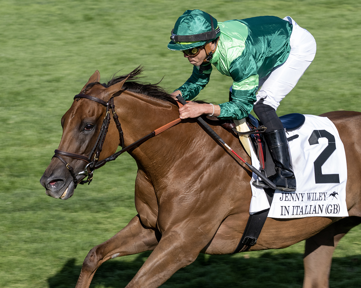 BH_AEberhardt's tweet photo. Wire to wire for #InItalian with @iradortiz in the G1T #JennyWiley @keenelandracing for Peter Brant and his @WhiteBirchFarm_ and @TheRealChadBr11 @Tattersalls1766 sales grad #HazelwoodBloodstock by #Dubawi at @DarleyEurope https://t.co/rJwCMyLUWW