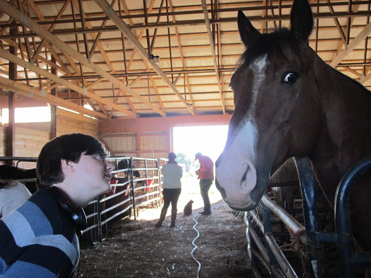 flailingwings's tweet photo. @RJustice282 2014 was the year I cut my hair and never looked back. I was in full art student mode. Also I met a horse. https://t.co/ZBmkABF84H