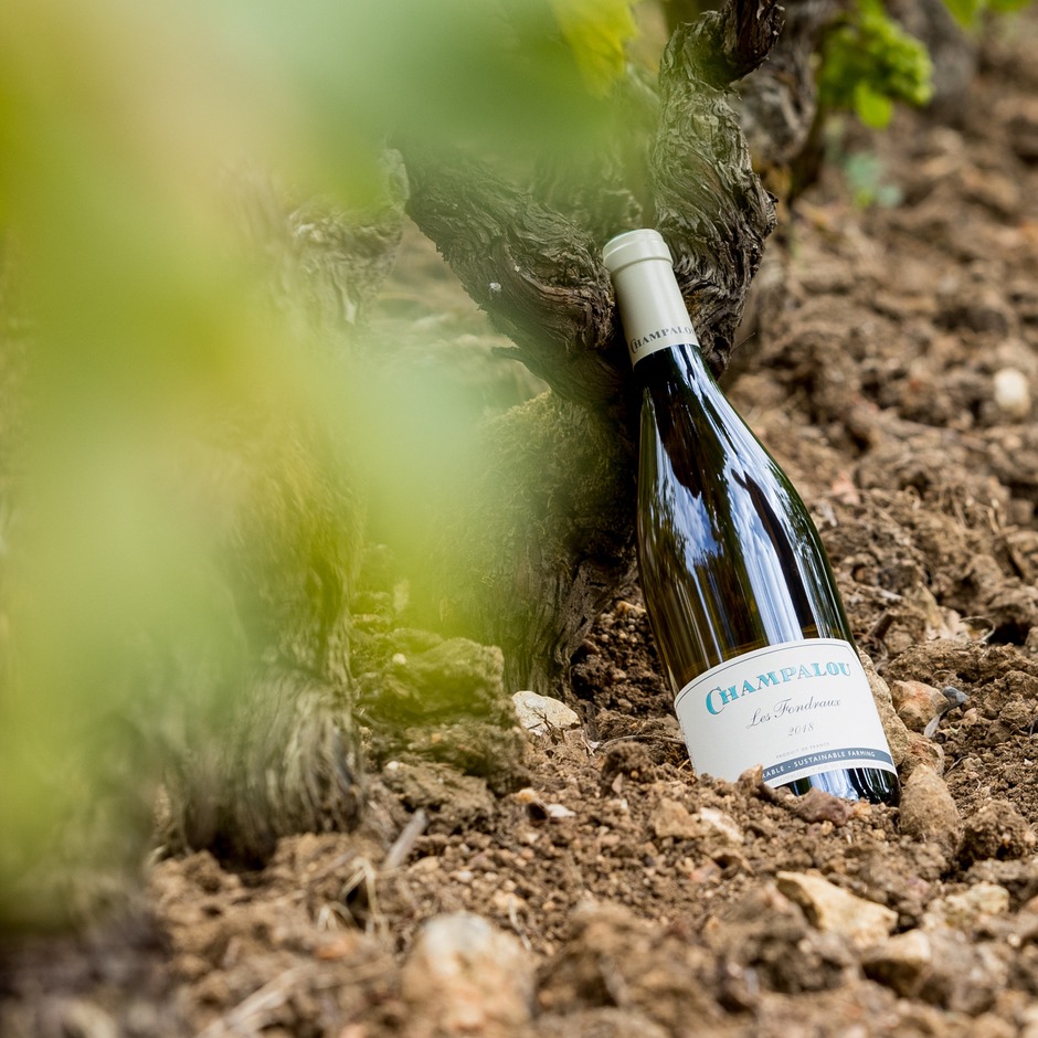 Champalou, a family-owned and operated producer based in France's Loire Valley, is the regional master of the Chenin Blanc. Using organic and biodynamic principles, they enable the grape to shine through a number of styles. 

Shop Now 👉 ow.ly/6qoj50NK1s1