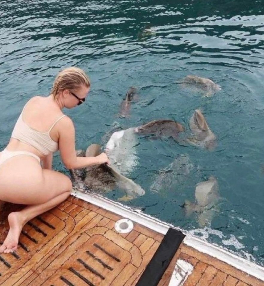 Mario Gonzalez tweet media