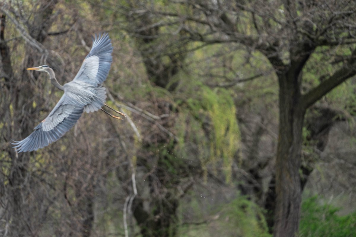 Harold Pollack tweet media
