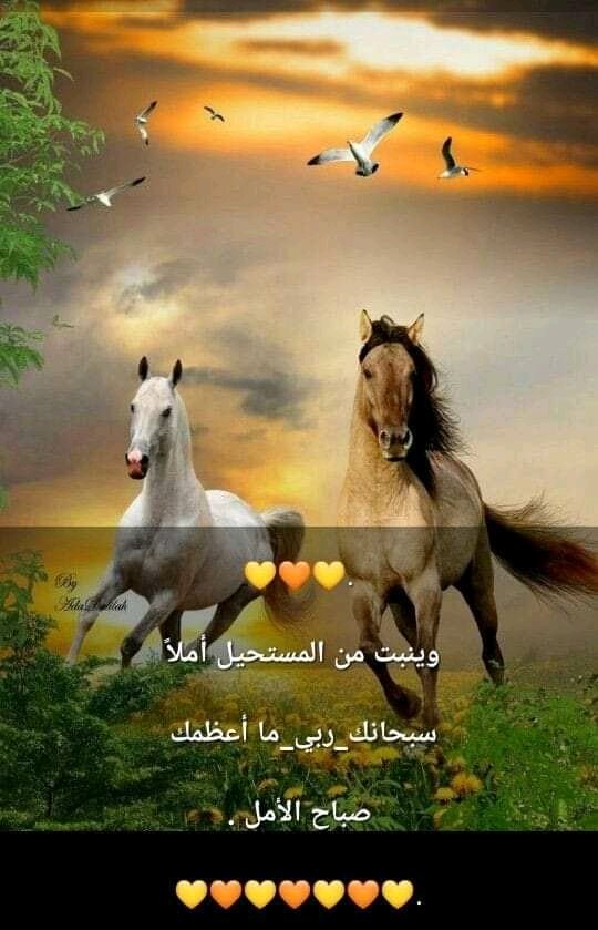 IChenwi's tweet photo. صّبًآحًُ آلَخِيَرِ يَآشُمًسًِآ بًهِّآ ألَقُﮯ صّبًآحًآتٌيَ
صّبًآحًيَ فُيَکْ مًنِتٌشُيًَآ بًهّيًَّآ مًُشُرقًُآ آتٌِ . https://t.co/O5EHGnEFfY