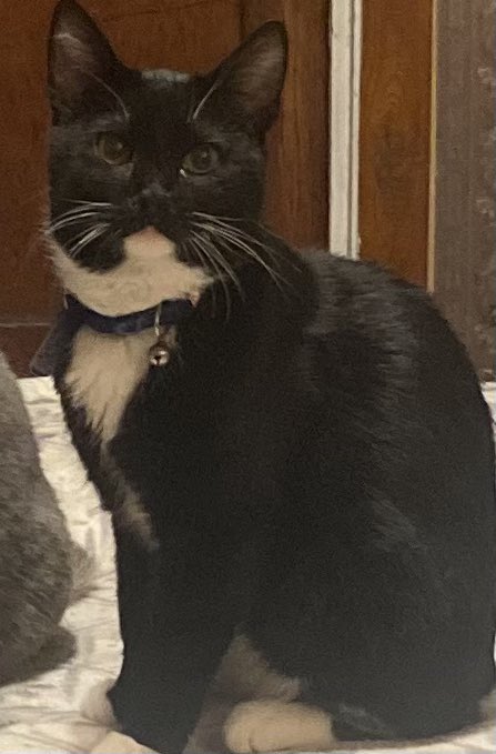 Angel 😈 NO PPV OF! on Twitter: "@ihatelaika It’s a little hairy but my