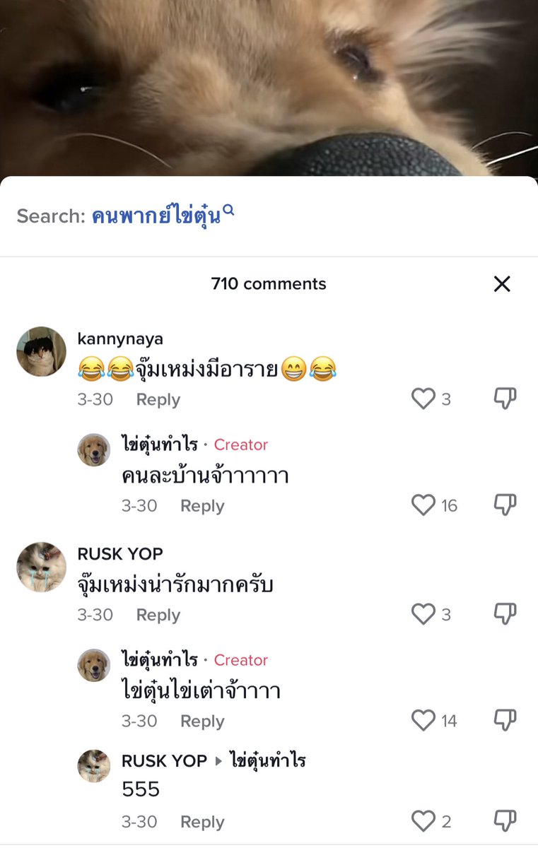 sAdéla ⚡ tweet media