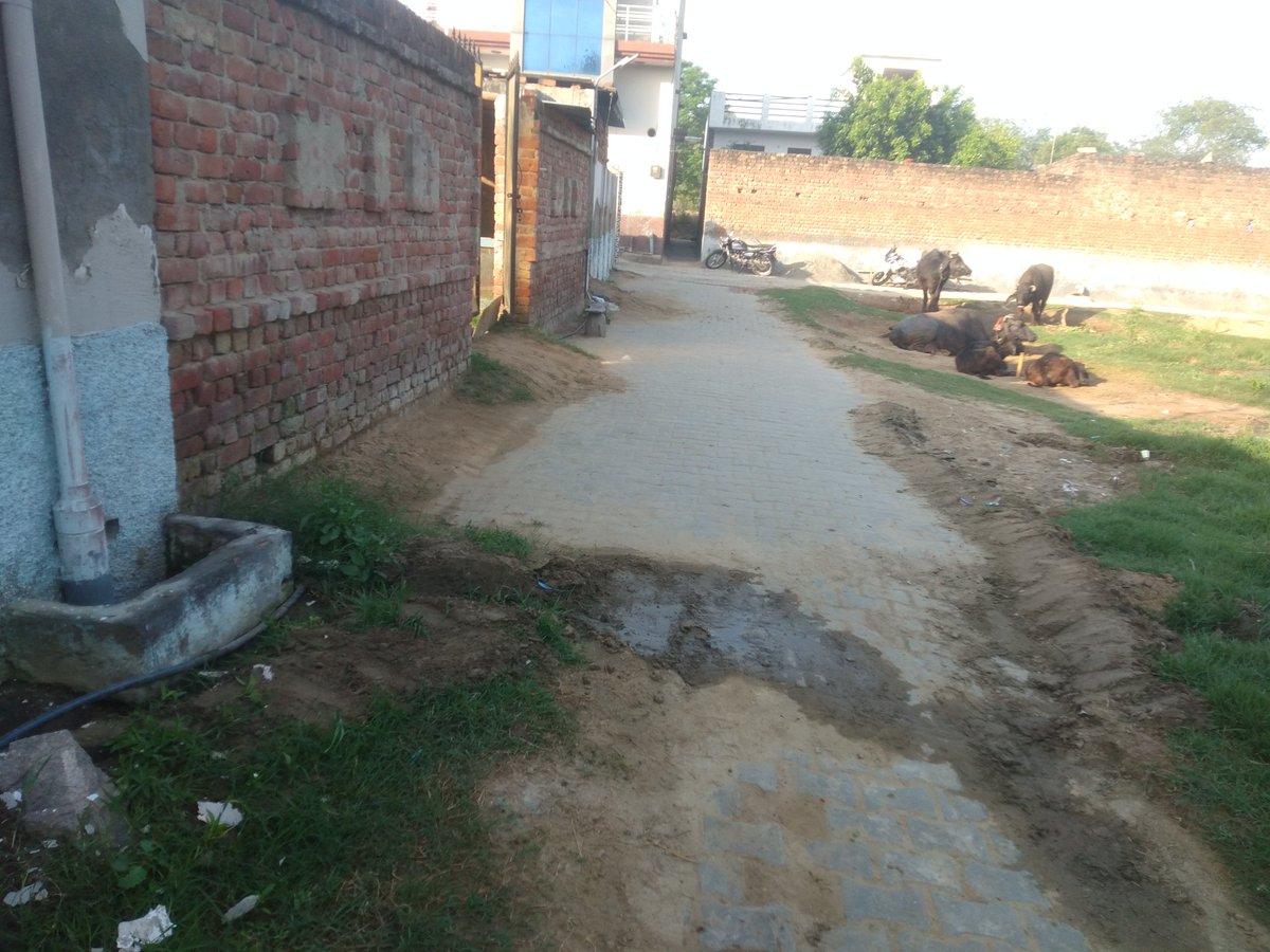 Dharmen46774570's tweet photo. वार्ड नंबर 6 ढाणी में, नारनौल हरियाणा में, ना पानी की निकासी के  नाली बनाने देते हैं और ना पाइप दाबने देते हैं सड़क के दोनो तरफ, बीच वाले कहा जाएं @dipronarnaul @XNarnaul @SDMMahendragarh @DCMahendragarh @mygovharyana @SwachhBharatGov @BJP4Haryana @phedhry https://t.co/BKoVOTVaA9