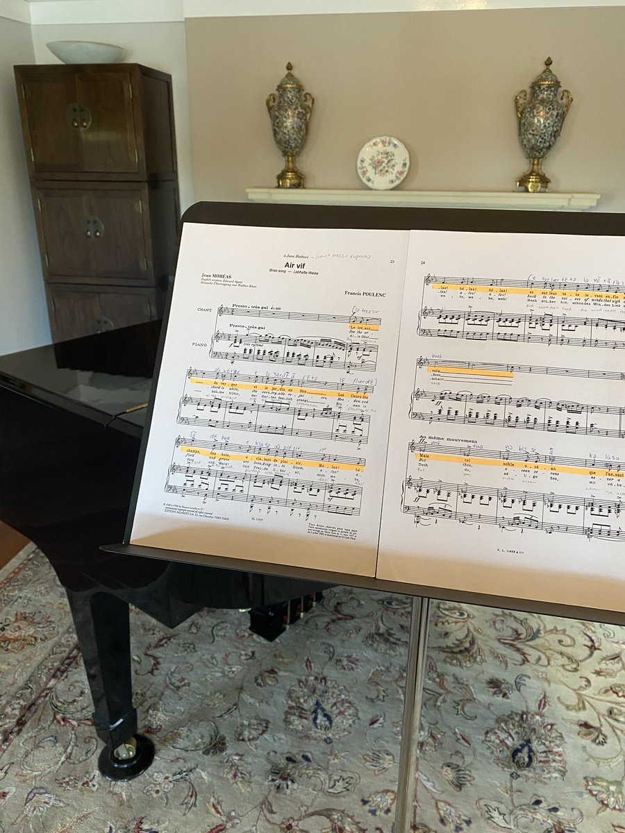 Happy #WorldVoiceDay ! 
So fortunate to have studied classical singing and opera before beginning my Speech Pathology degree. It was nice to see my IPA transcriptions of French from 2 years ago and have a little nostalgia sing.