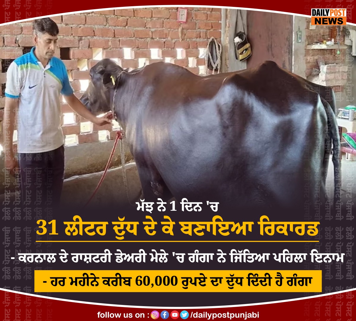 dailypostpunjab's tweet photo. ਮੱਝ ਨੇ 1 ਦਿਨ 'ਚ 31 ਲੀਟਰ ਦੁੱਧ ਦੇ ਕੇ ਬਣਾਇਆ ਰਿਕਾਰਡ
#Karnal #Haryana #Buffalo #CreateRecord #Giving #31Liter #Milk #1Day #Dailypostpunjabi #Dailypostnews #Dailypost https://t.co/3B65WIci14