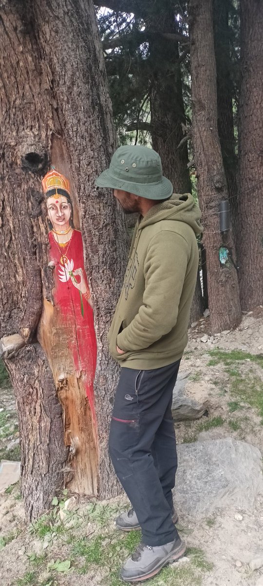 nativehimalayas's tweet photo. #bhatathomestay
 #the_native_himalauan_
#agodavillage
#assigangavalley 📞9927099352 https://t.co/41chkT9Bas