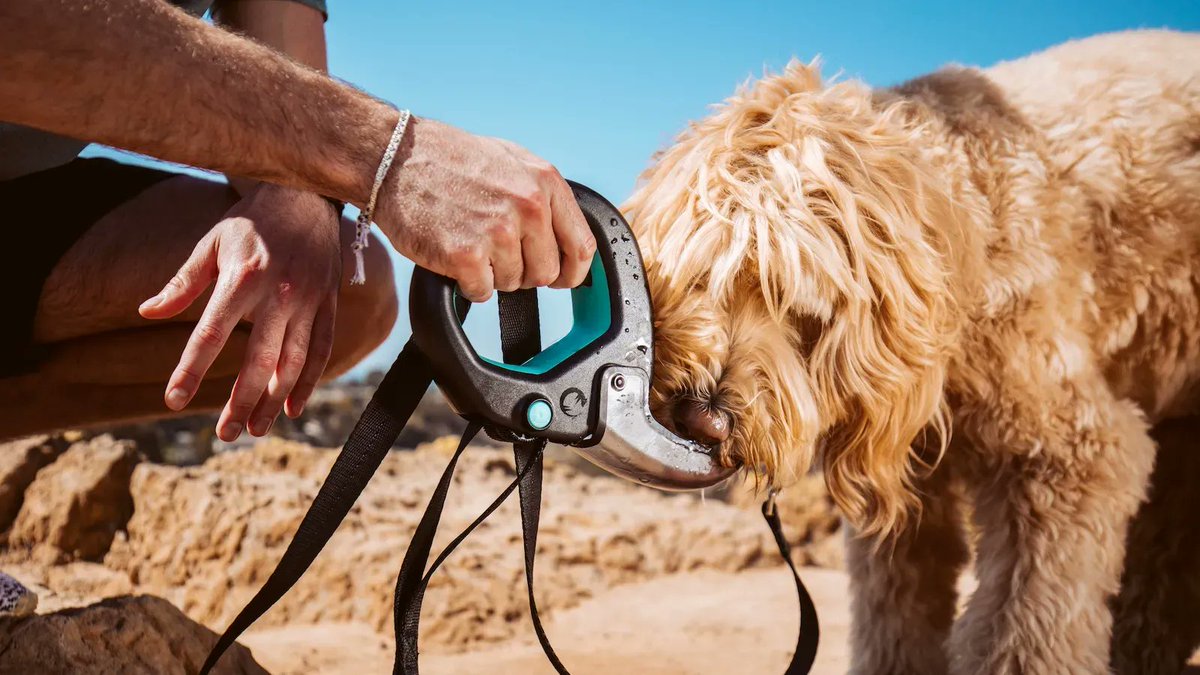 GadgetFlow's tweet photo. Spleash® dog water bottle by @TailChasersLLC https://t.co/LKE5RAOS4T It can hold up to 12 oz. of fresh water, sprays at least 14 feet, and has a flip-open cup for easy hydration. #petlovers #doglovers https://t.co/3EVsXDZZvX