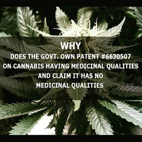 @PLegalization Schedule I says cannabis has no medicinal value..
so why / how does Patent #6630507 exist?🧐🤔🤨
Neuroprotective antioxidants ..... funny how that sounds just like medical research. #CuresNotWars #FlowerToThePeople #EndProhibition #Deschedule