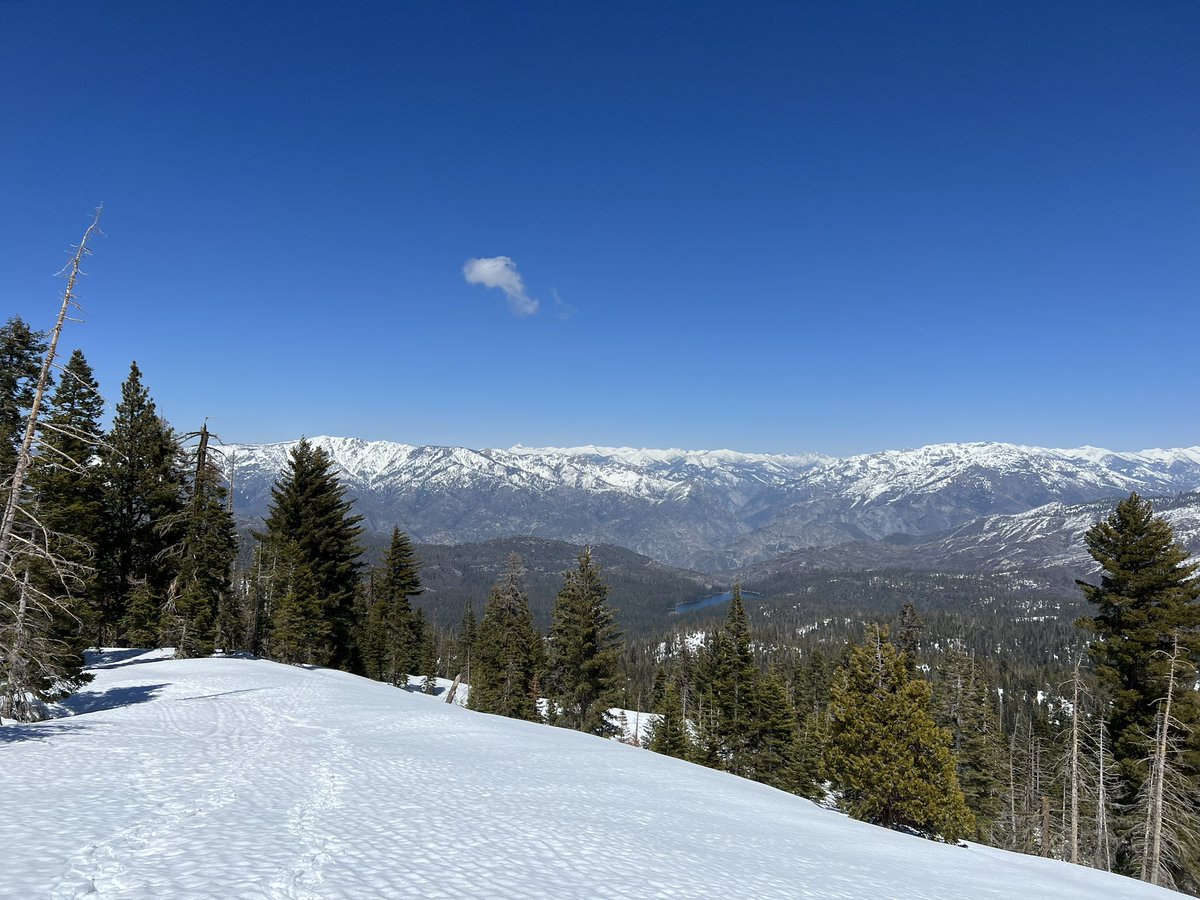Katherine Phillips on Twitter "Snowshoeing in Kings Canyon National