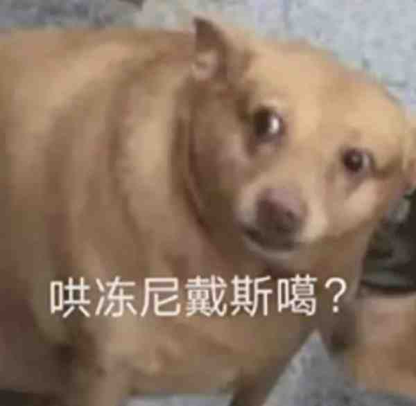 xzttaxl's tweet photo. 我的推特首页在男女生殖器和可爱小猫之间反复横跳 https://t.co/VFgvCHB9QW