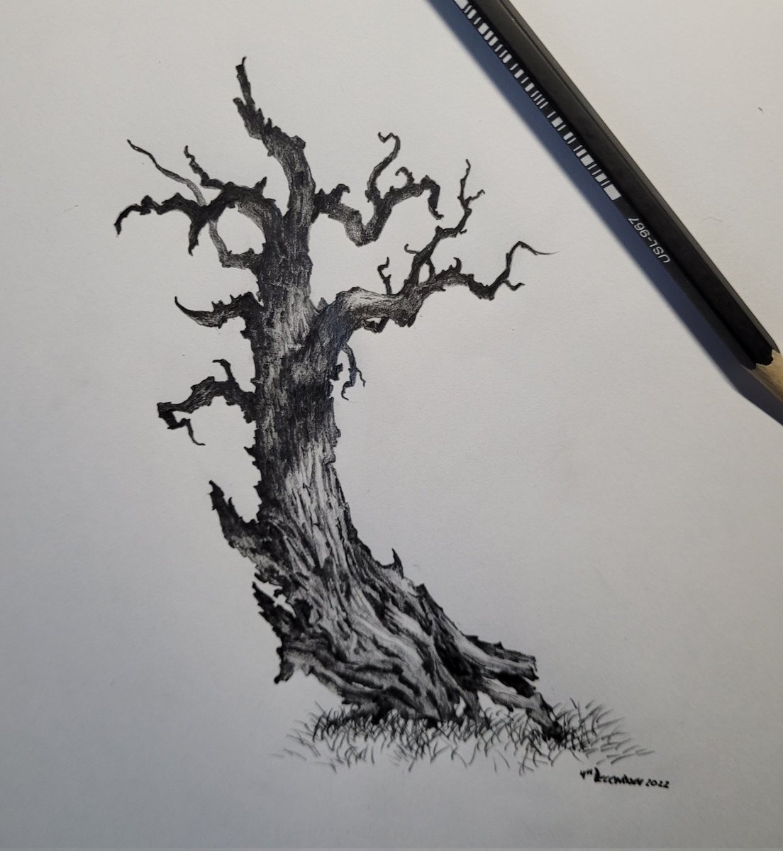 Owentree1's tweet photo. Isa
#tree
#drawing https://t.co/OYM7EDxUmh