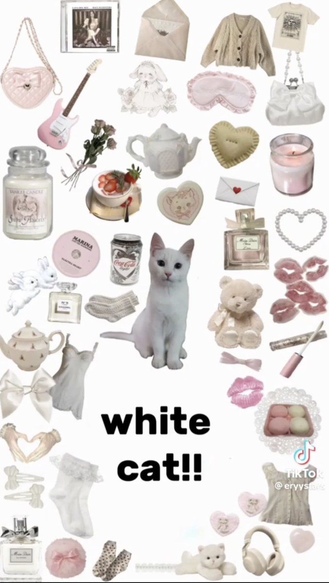 MUDEI DE CONTA tweet media