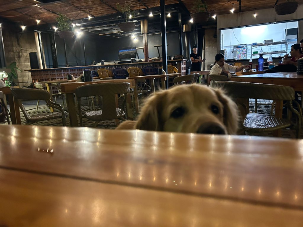 esteesmitweet's tweet image. Pláticas con el manager @ehebbq