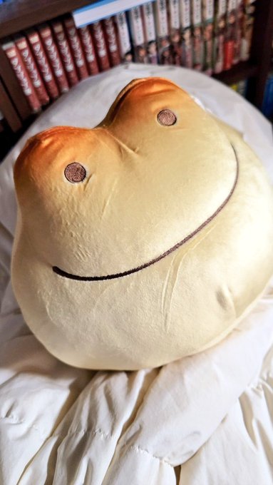 僕がお中元とかでよく利用してる、かえるまんじゅうがクッションに…!!
UFOキャッチャーのプライズだったんだけど、めっちゃお金かかった…
でも満足…かわいい… 