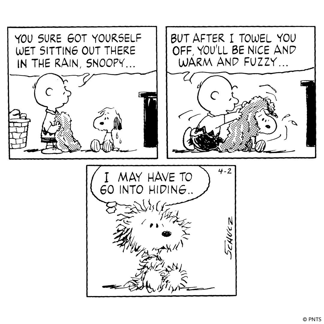 This Peanuts comic strip was first published on April 2, 1992.