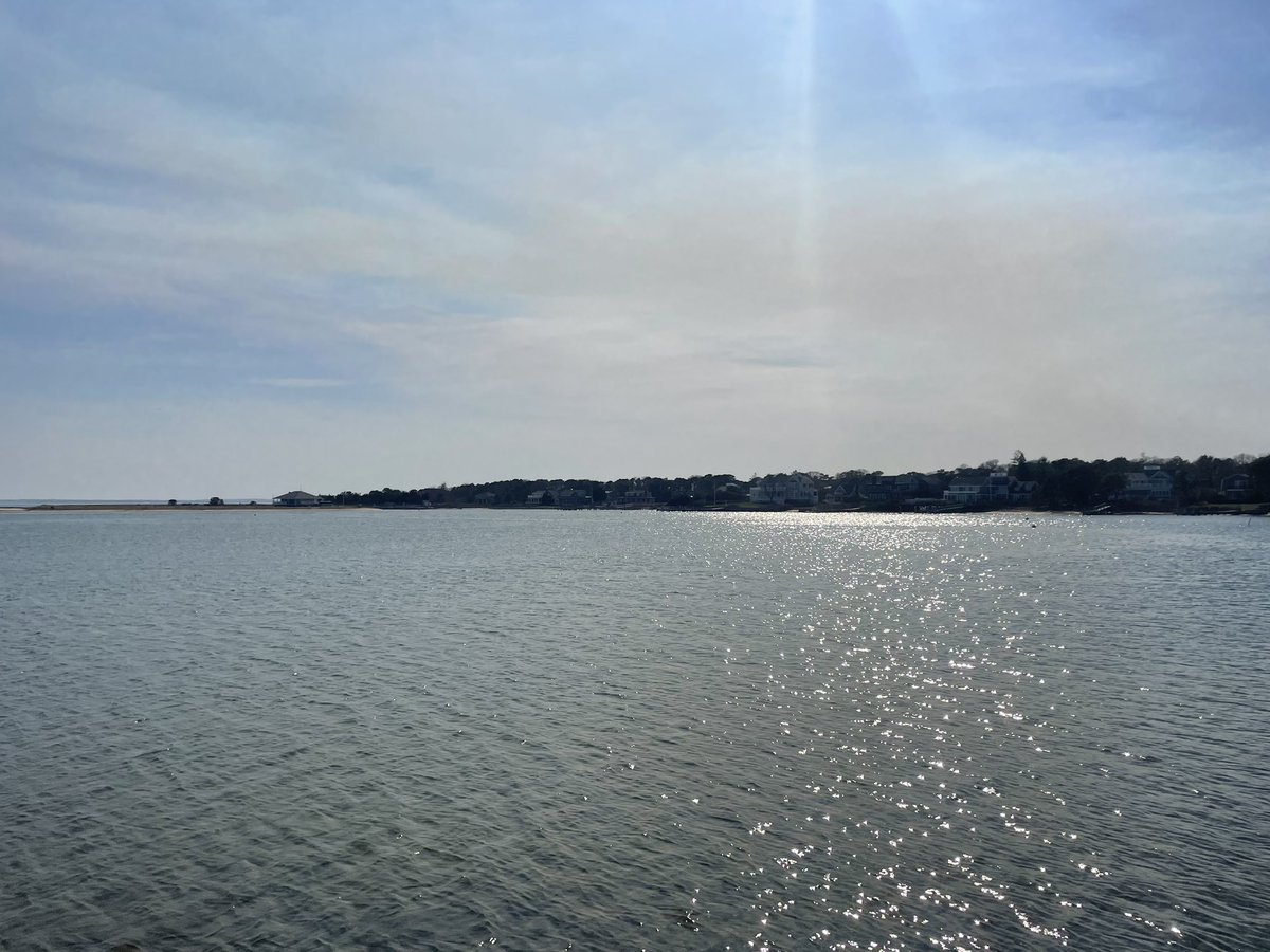 Happy Spring (summer?) Break!☀️ #saltyaircuresall