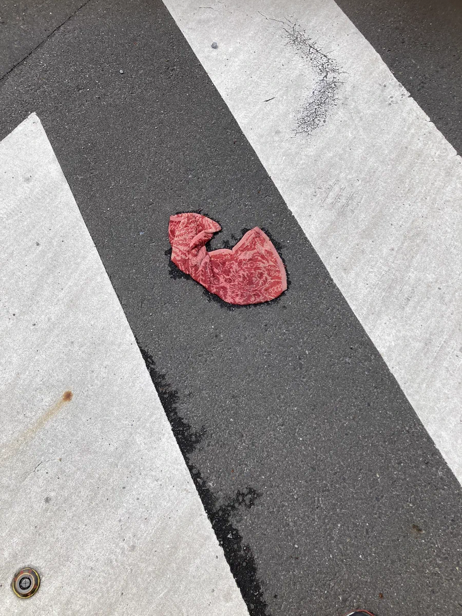 これは間違う。めっちゃ良い肉が落ちてるのかと思いきやタオルやった。