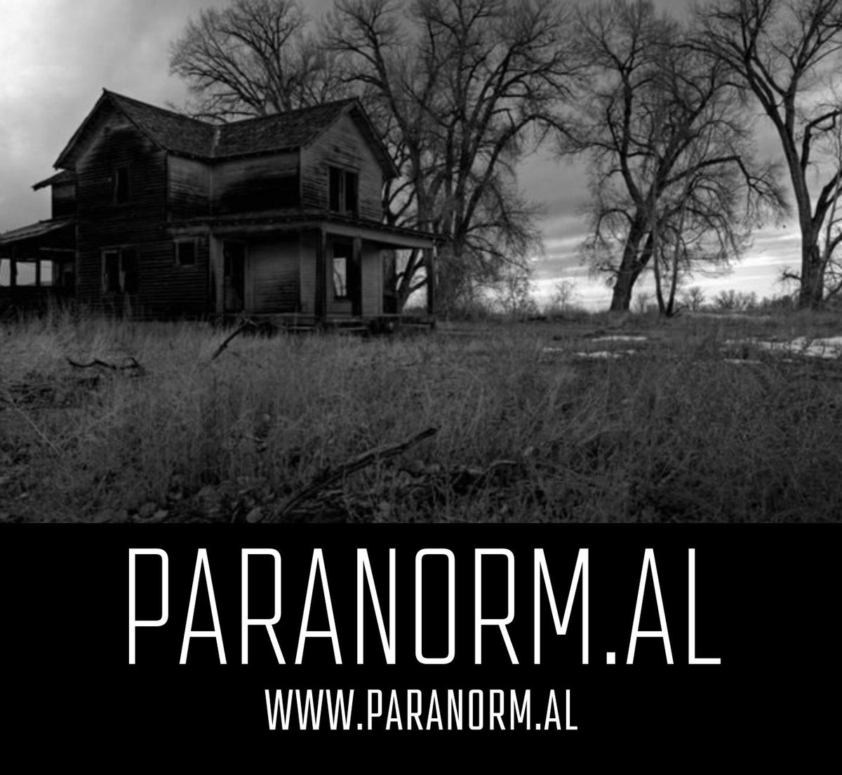 Lawrenceburg's tweet photo. Are you a ghost hunter, UFO researcher, or psychic medium looking to establish a strong online presence? Look no further than https://t.co/sLgyzepIXw

https://t.co/ag4SN5XVbW 

#DomainForSale #DomainHack #Paranormal #Supernatural #UFOs #GhostHunters #Ghosts #UAP https://t.co/FXqLm4bxB1