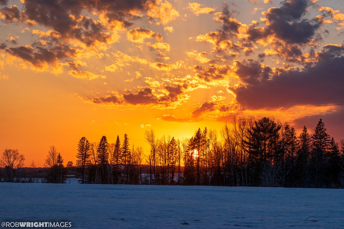 Rob Wright Images 🌻 on Twitter "Loved seeing the sun hanging low