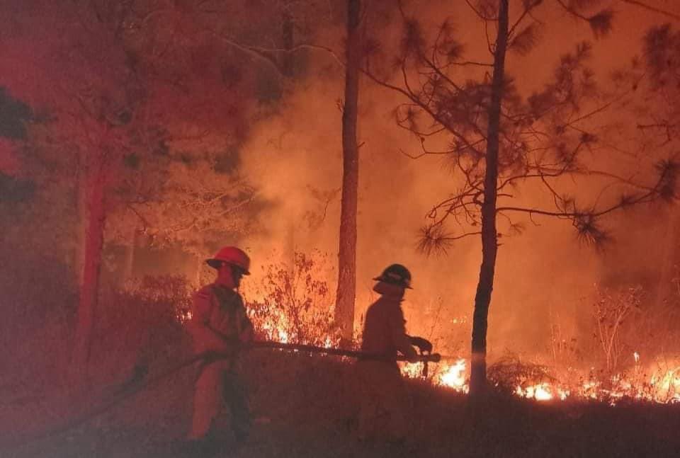 Tegucigalpa.- Se reporta incendio forestal en zona montañosa de San Matias, elementos del Cuerpo de Bomberos trabajan para controlar las llamas.

#PeriodismoUNAH #NoticiasHonduras