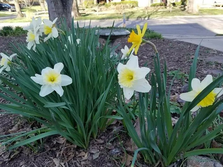 Randy Bretz tweet media