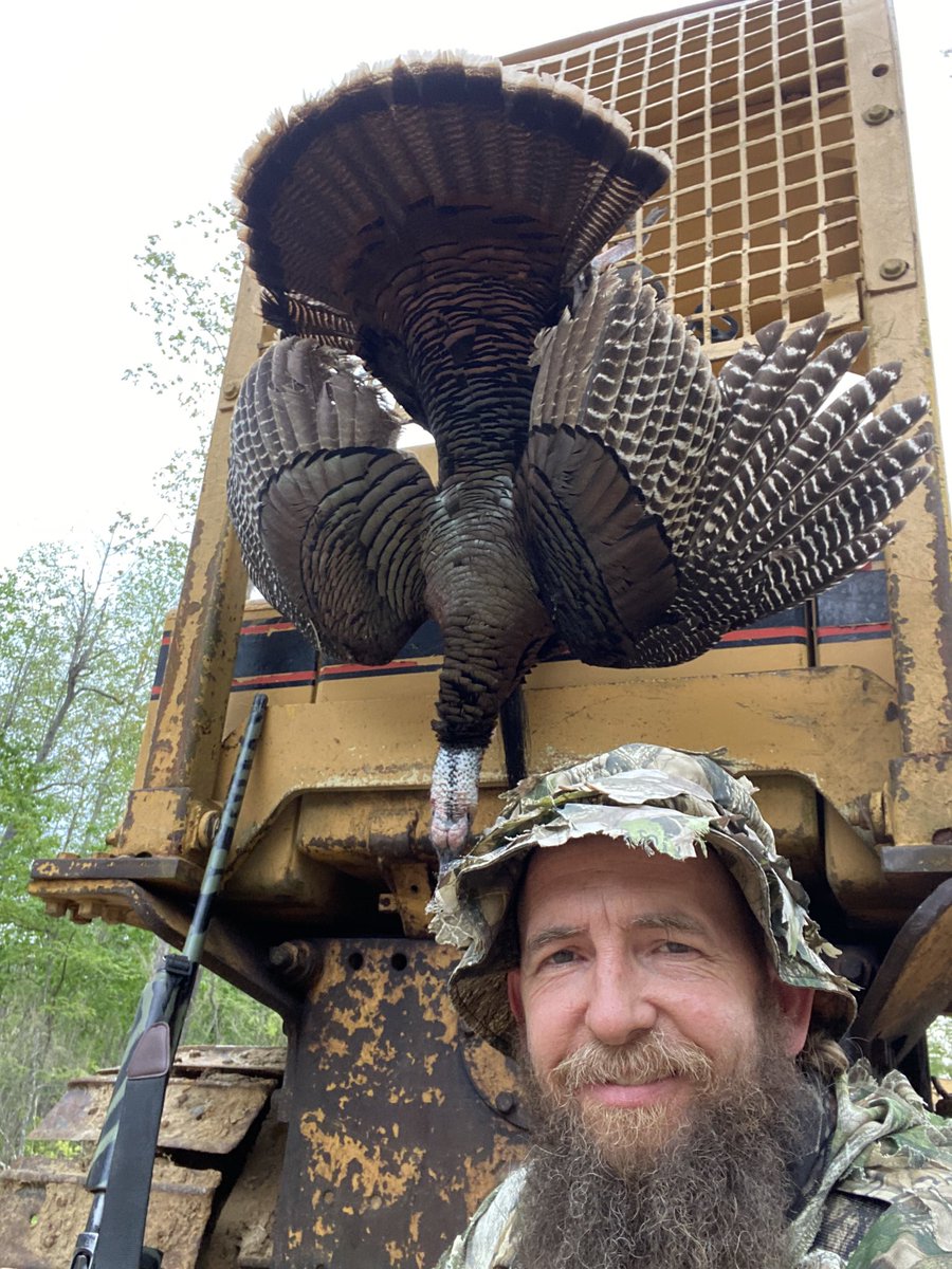 jerry webb tweet media