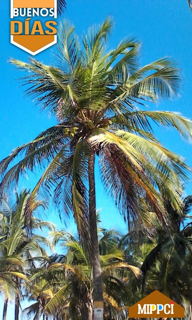 #LogrosEnRevolución                     
#15Abr