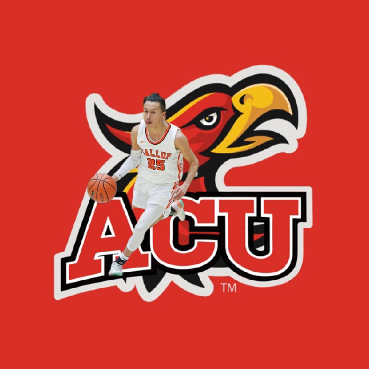 I am excited to announce that I have received an official offer from ACU! Blessed and praying for God's direction! Thank you for having me out this week. @CoachPeters_ Hebrews 12:11 #YouOnlyLoseIfYouQuit #BigDreamsBIGGERGod pic.twitter.com/DXC7hvvVqT