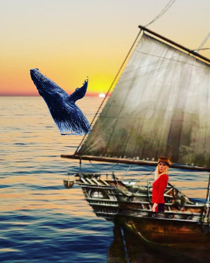 StrangeArtKC1's tweet photo. Ahoy Mateys.
Save the Whales.
Sharpen the Swordfish.
🎈It Landed in New York.
@StrangeArtKC1 #traveler #oceanpotion #savethewhales #NewYork #histeve #prayerworks #MakeItCount #write https://t.co/ZcCRGso3Hj