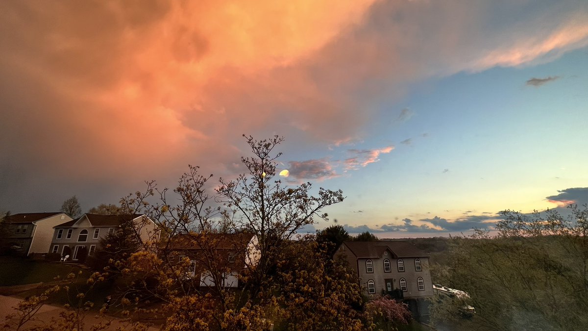 (Whitney) tweet media