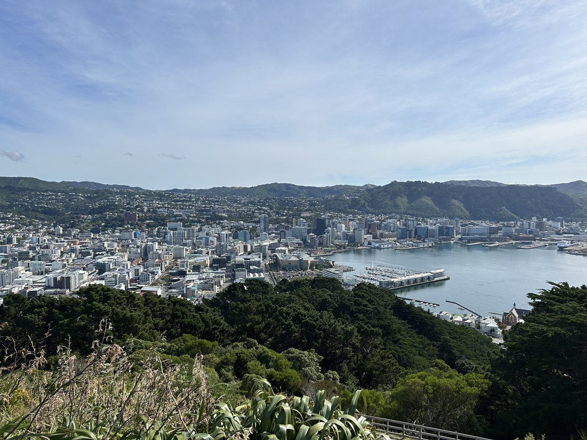 What do they say about Wellington on a good day? 🌞