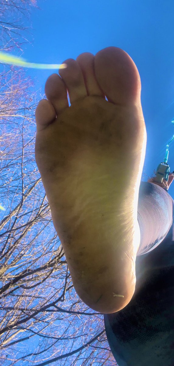 ServingAmanda's tweet photo. It ain’t gonna lick itself clean…
🫥

Findom dirty sweaty feet foot sole sock goddess worship https://t.co/IPFnQeDuES