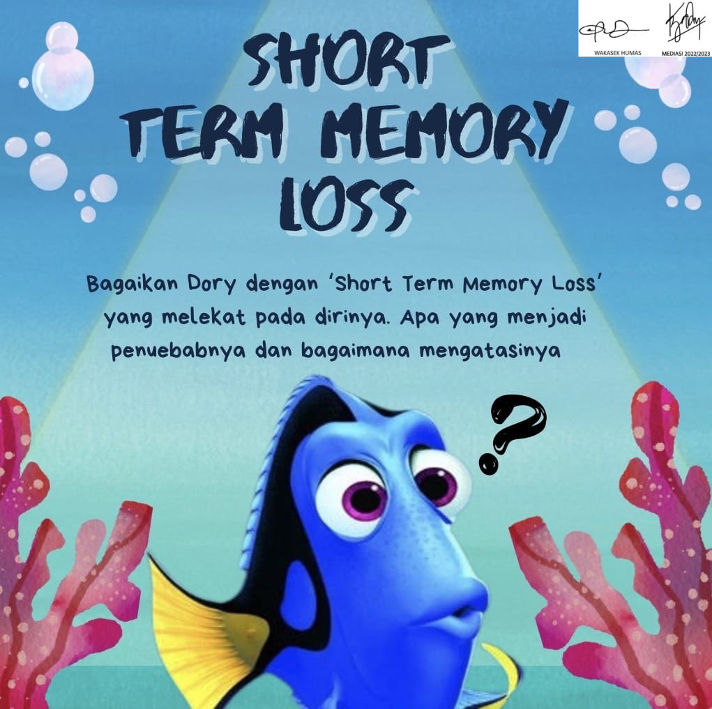 short term memory dory