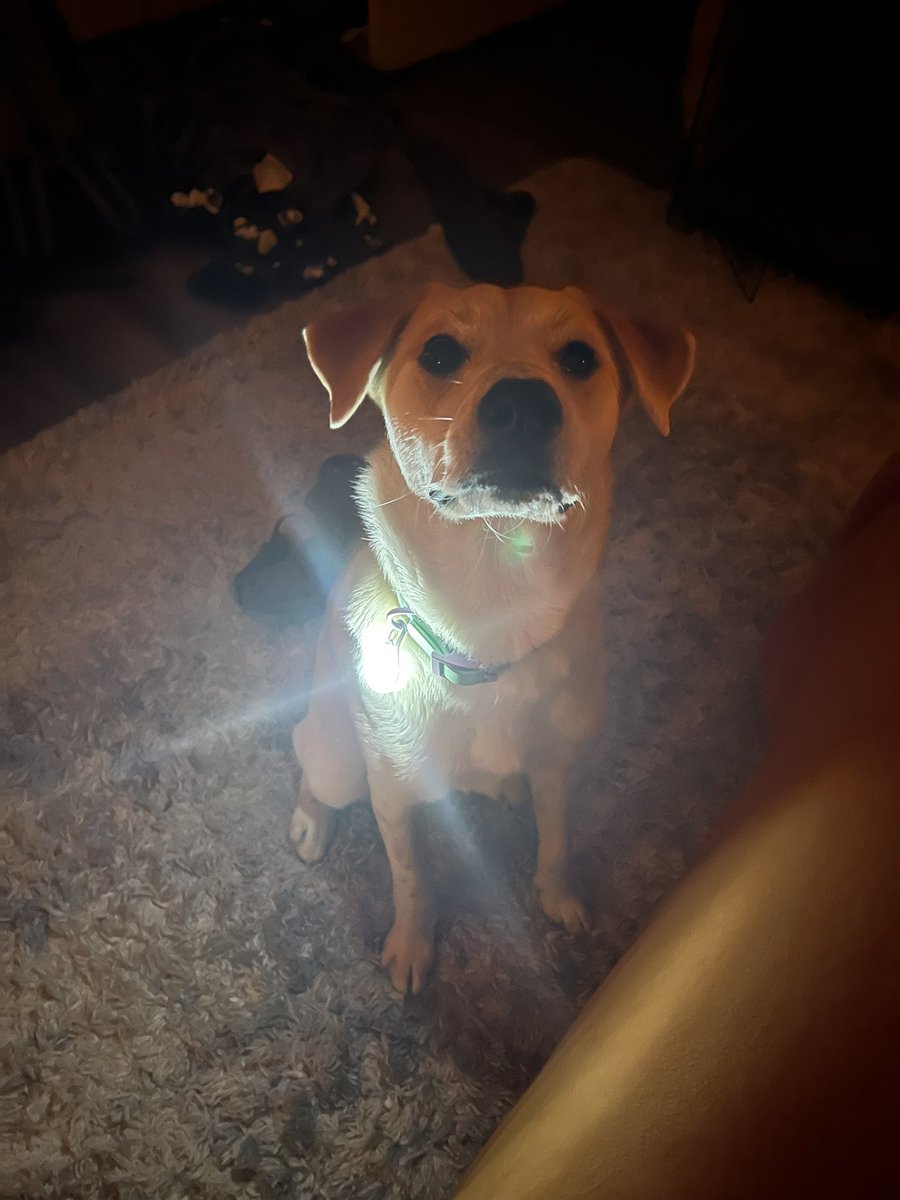 abby0dom's tweet photo. No power no problem https://t.co/q77OKgkv3m