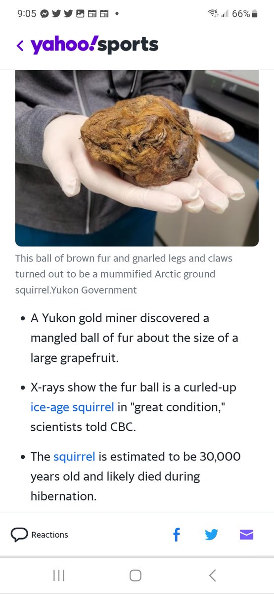 DarkDeltaKai's tweet photo. They done found my boy Scrat 😭😭😭 https://t.co/GW01b2RVWj