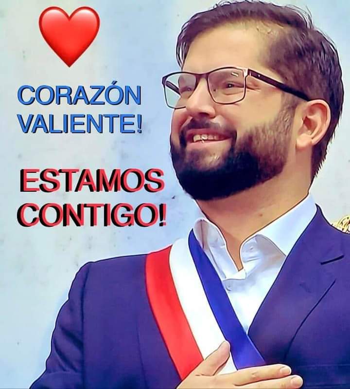 Mónica 🌳❤️ 🇨🇱 tweet media