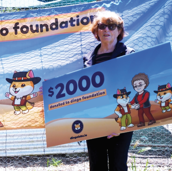 dingolabs.eth - dingo nfts, ai, products soon 🇦🇺 tweet media