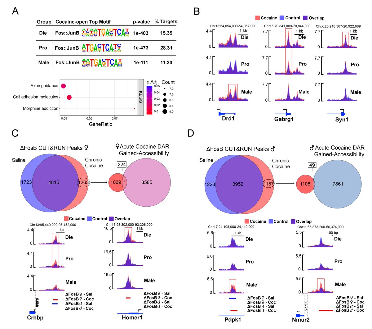 I am very excited to share a new preprint from my lab:

Early-life stress and ovarian hormones alter transcriptional regulation in the nucleus accumbens resulting in sex-specific responses to cocaine 

Link and a thread:👇
biorxiv.org/content/10.110…