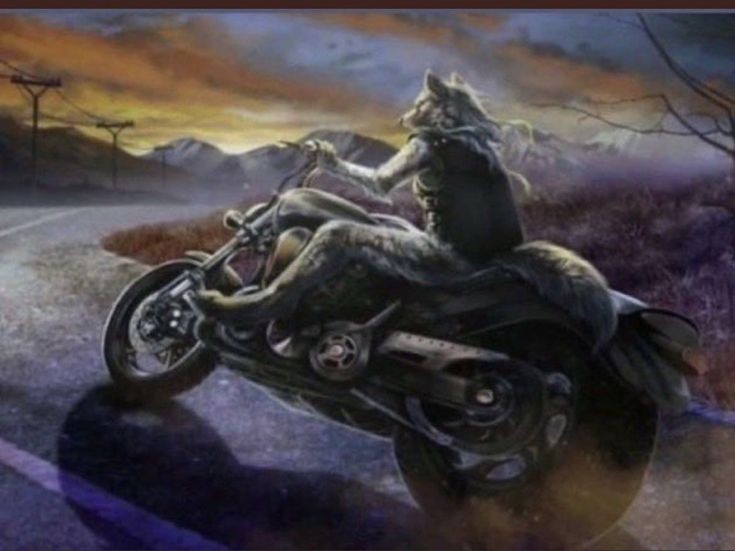 ivm4i's tweet photo. @valnandan di ko yan need #hatersgonnahate #immacomebacklikeaboomerang #mywayorthehighway #furriesrule https://t.co/9honkpZygV