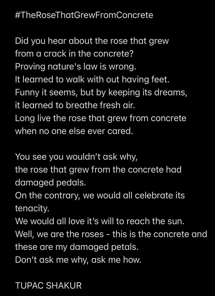 KurtMichael_Dee's tweet photo. 1. “You never know the value of a moment”
2. “You’re in a powerful place of transformation”
3. “Roses do grow from the concrete
To all those who have supported, helped, encouraged, believed and knew long before I did…, 🙏🏿
#ProjectPhD
#JobsNotDone
#TheRoseThatGrewFromConcrete https://t.co/tn1ITskmAo