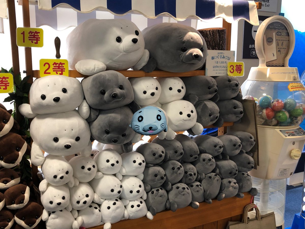 湘南アシベでゴマちゃんとコラボした新江ノ島水族館では、ぬいぐるみ