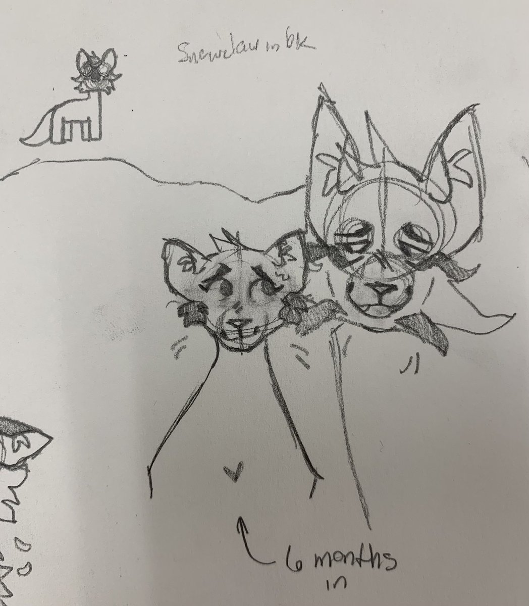 homiesexuallaj's tweet photo. Uh oh
—
#warriors #warriorcats #warriorsocs #warriorcatsocs #warriorsoc #warriorcatsoc #catocs #catoc #forgottenthoughts #thunderstrike #quietbird #quietpaw #snowclaw https://t.co/IkKeTHKQwa